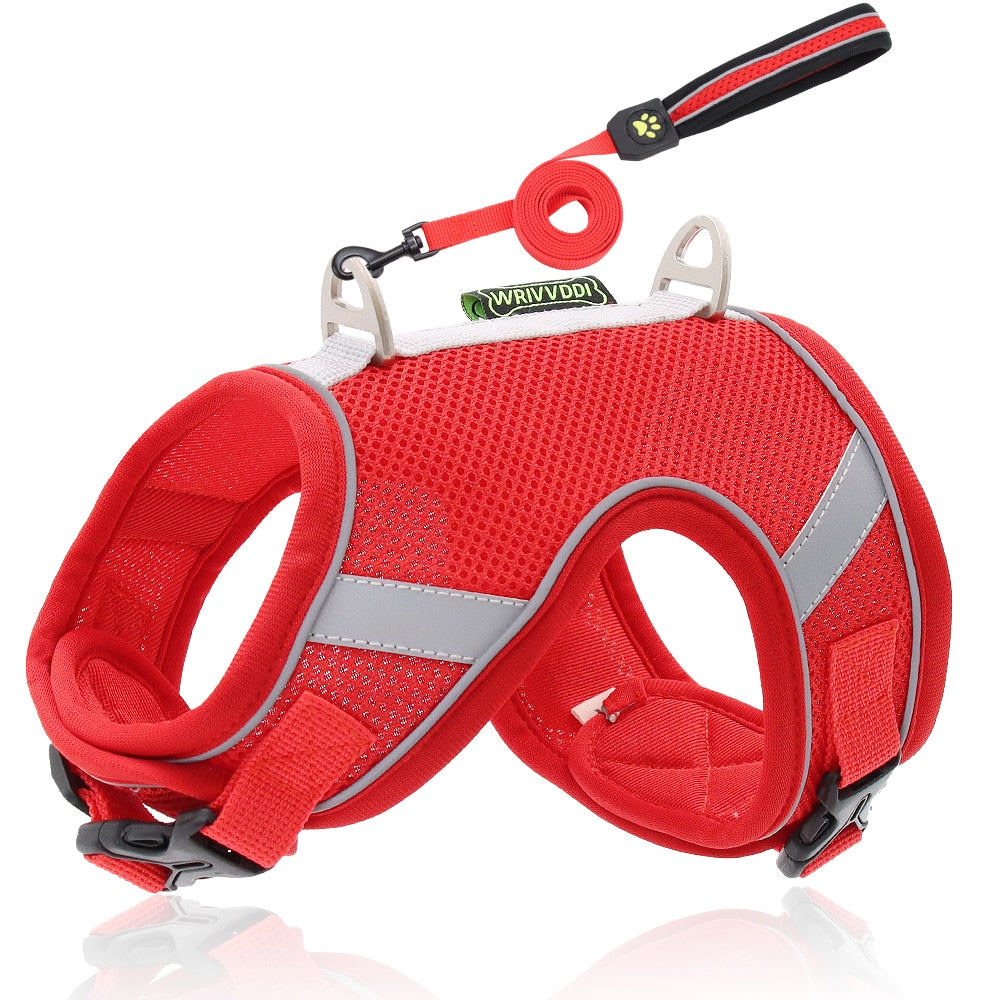 Pet Soft Adjustable Harness