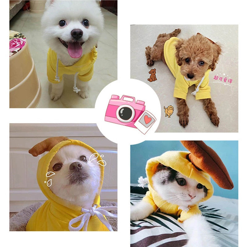 Cute Pet Hoodies