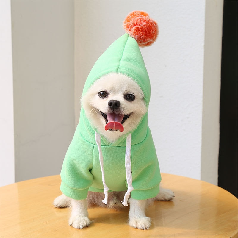 Cute Pet Hoodies