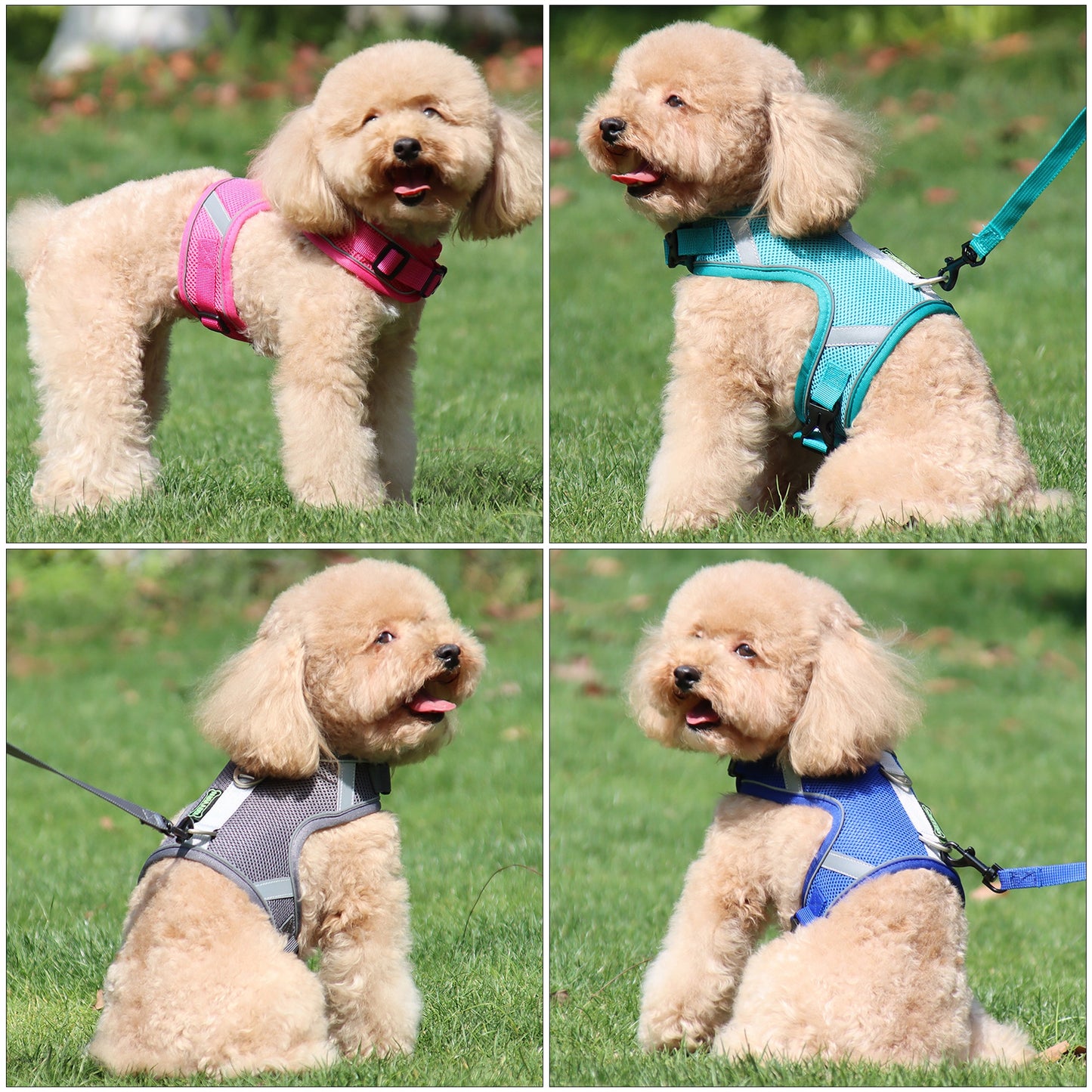 Pet Soft Adjustable Harness