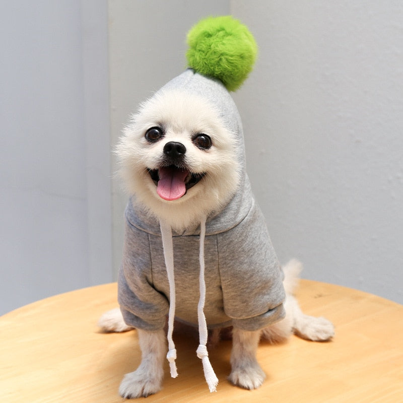 Cute Pet Hoodies