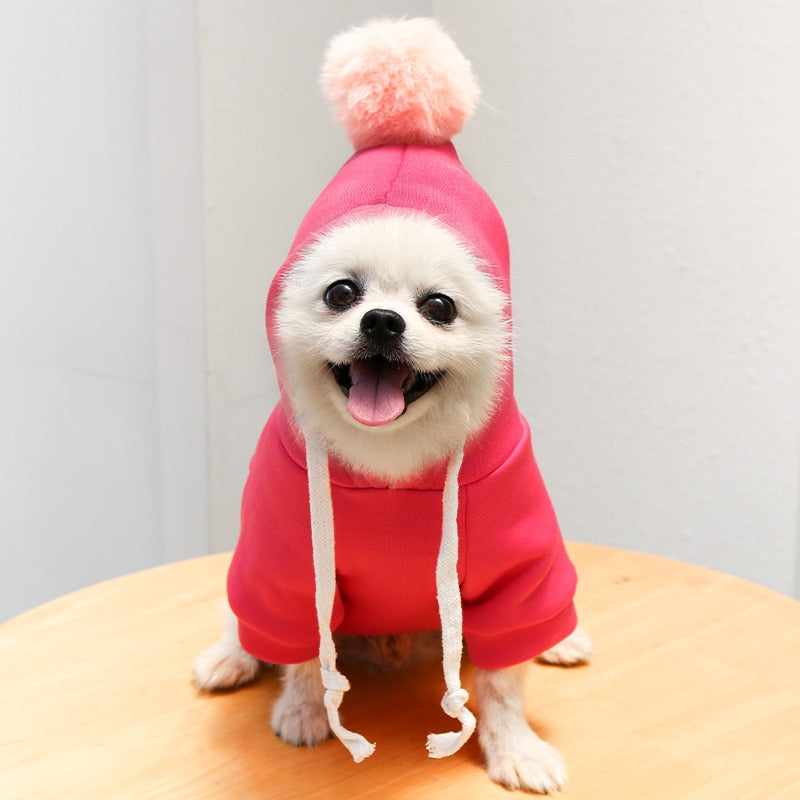 Cute Pet Hoodies