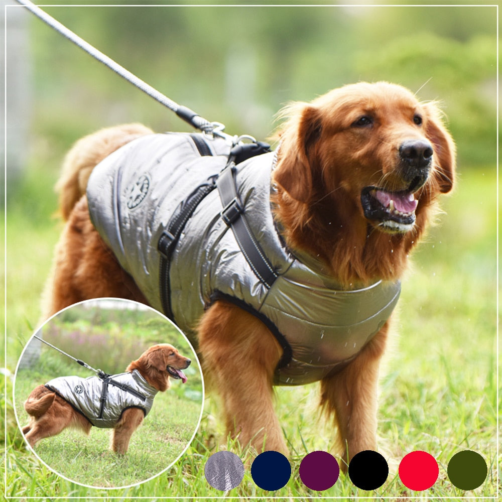 Harness Winter Jacket For Pets