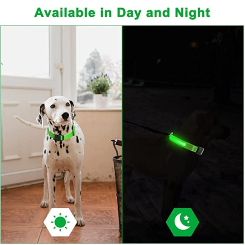 LED Glowing Collar For Pets