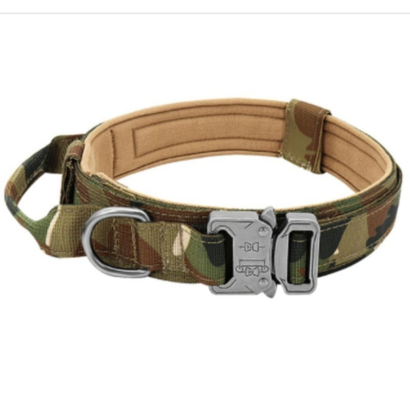 Military Dog Collar