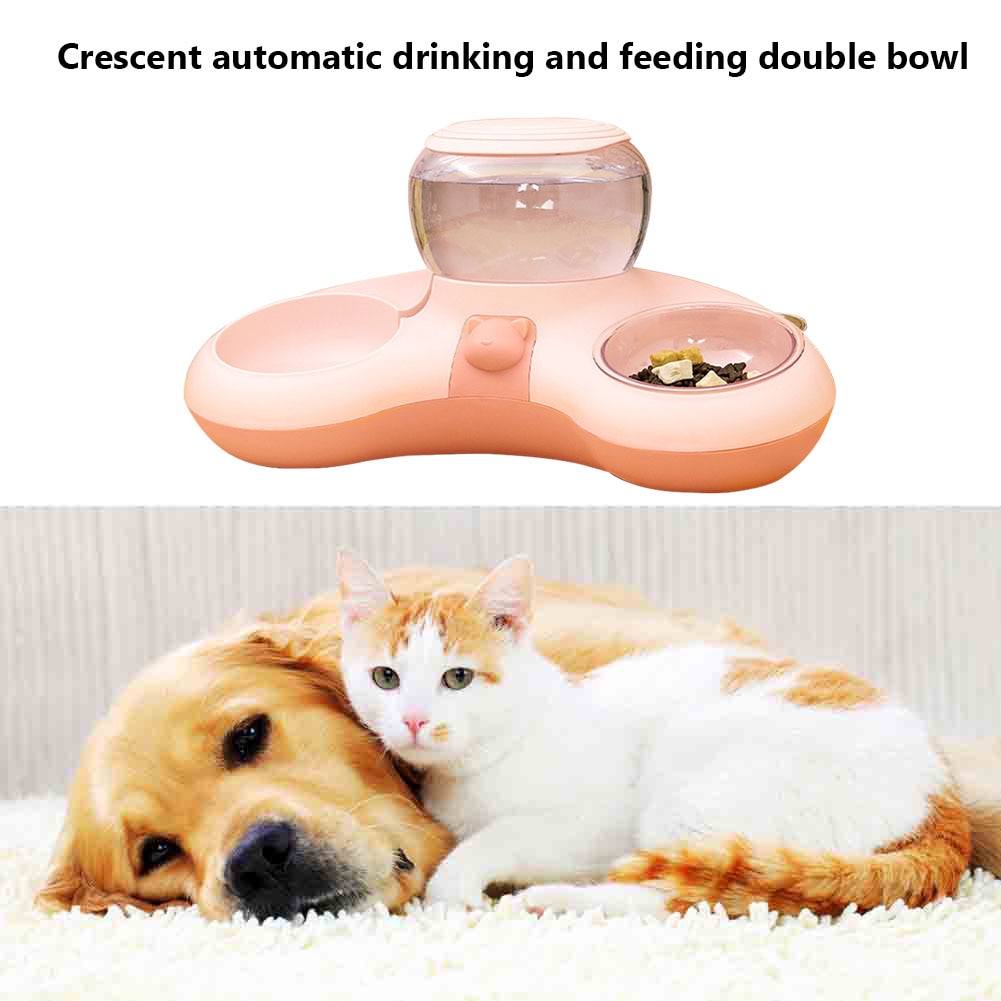 Raised Stand Dish Bowls For Cats