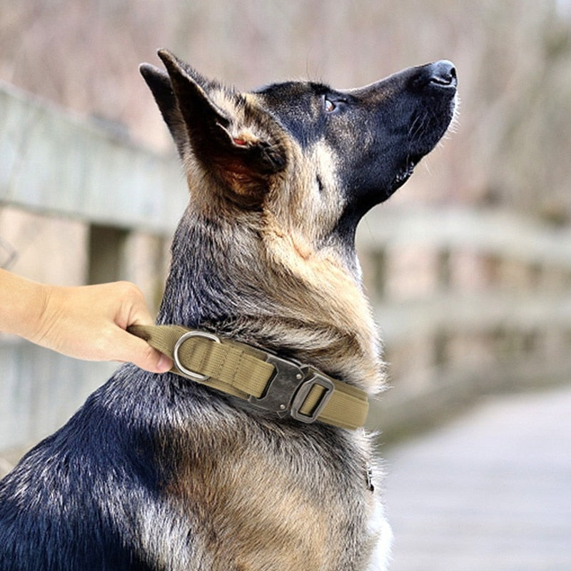 Military Dog Collar