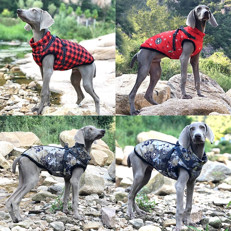 Harness Winter Jacket For Pets