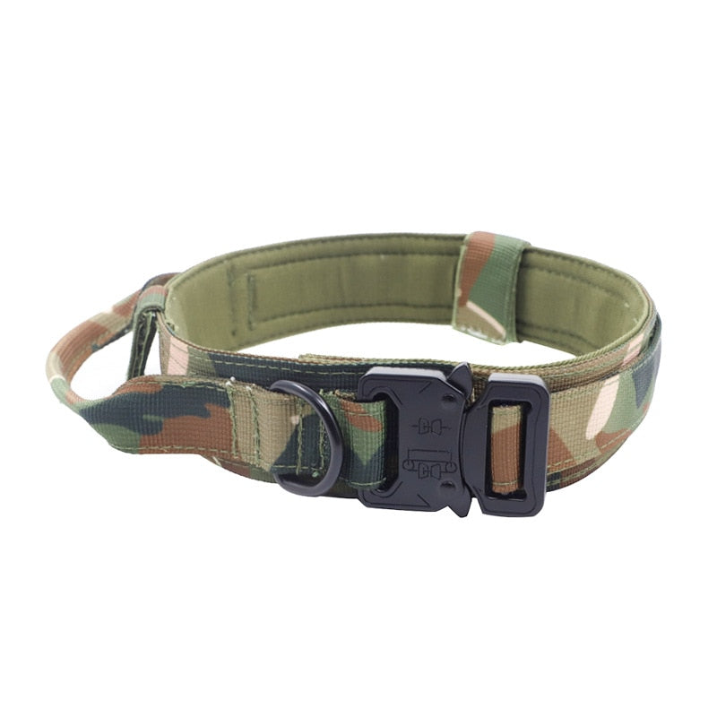 Military Dog Collar